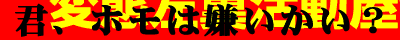 変態左翼活動屋バナー