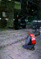 2.GIF